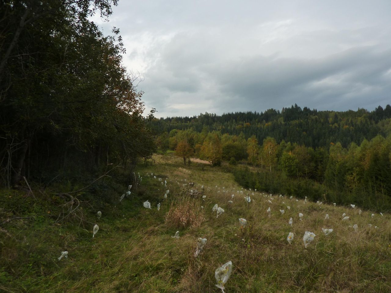Działka rolna Pewel Wielka Garleje. Zdjęcie 16