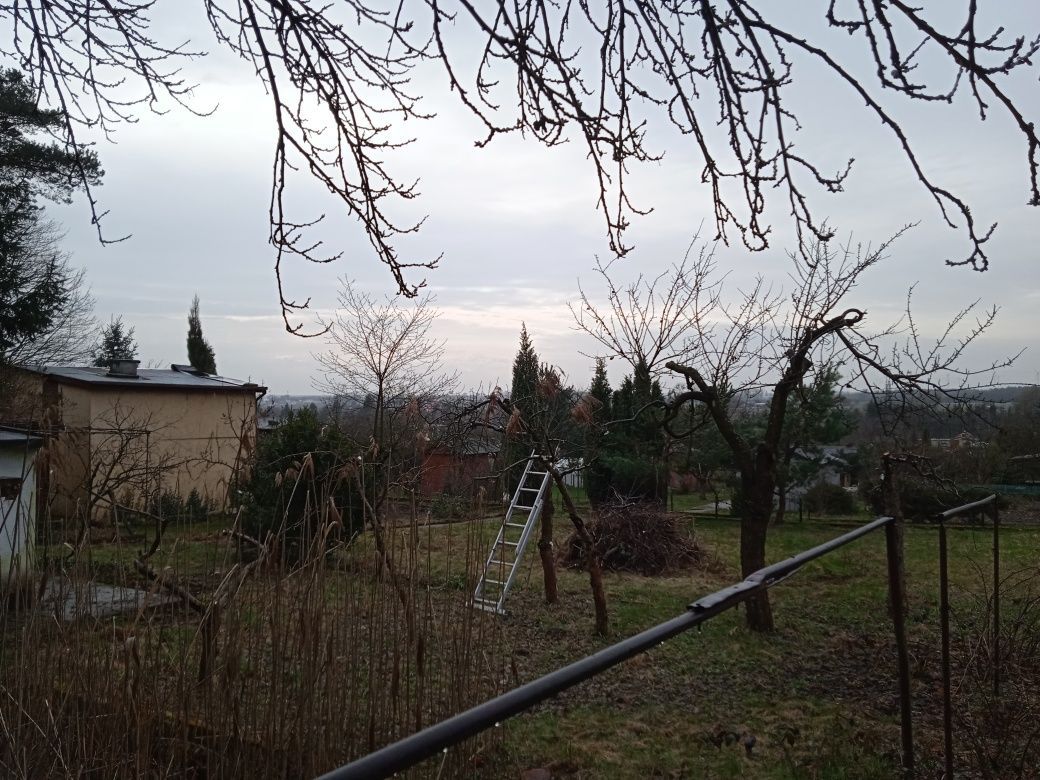 Działka rod Działdowo. Zdjęcie 2