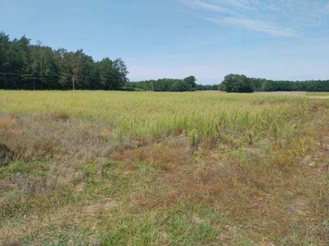 Działka budowlana Stefanów. Zdjęcie 1