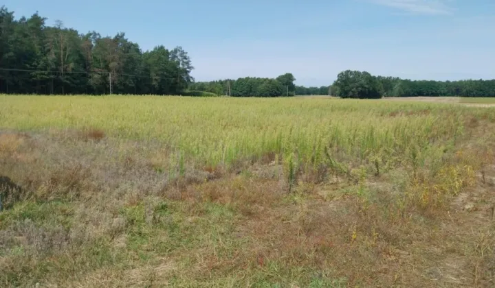 Działka budowlana Stefanów