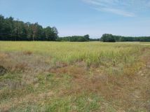 Działka budowlana Stefanów