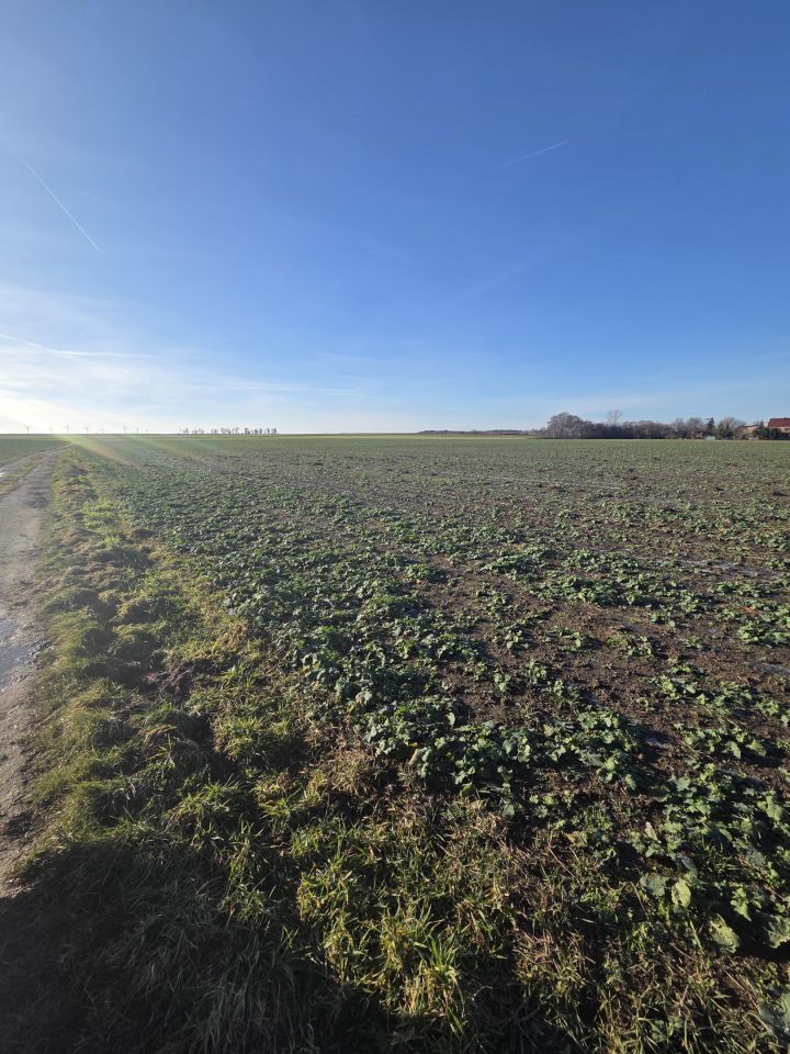 Działka rolno-budowlana Konradówka Gołaczów. Zdjęcie 6