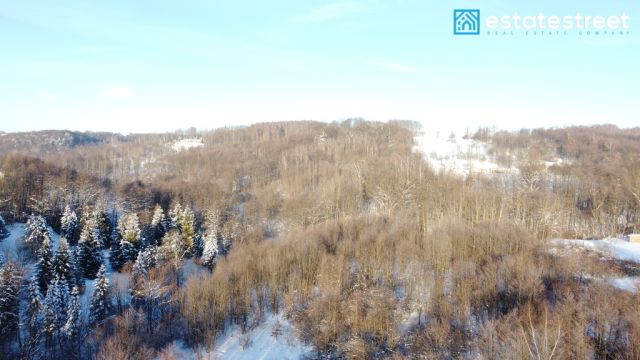 Działka rolna Chmielnik. Zdjęcie 2