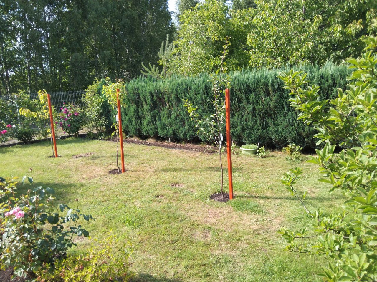 Działka rekreacyjna Katowice Ligota, ul. Zadole. Zdjęcie 13