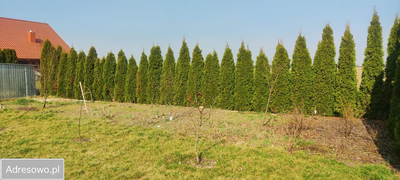 dom wolnostojący, 4 pokoje Nowy Dwór. Zdjęcie 6