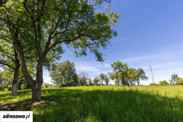 dom wolnostojący, 4 pokoje Laskowice. Zdjęcie 15