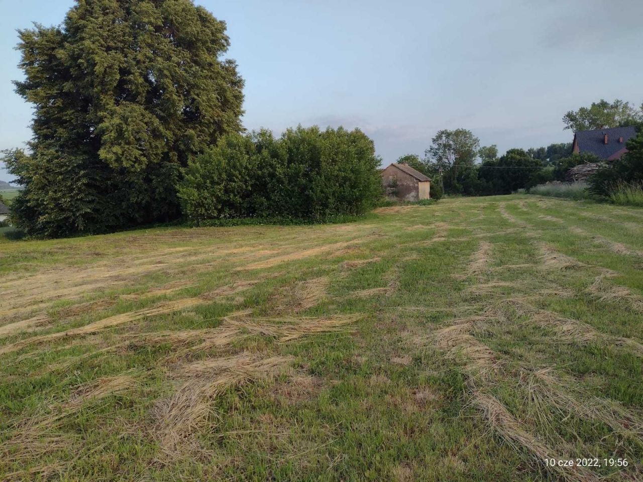 Działka rolno-budowlana Kępie. Zdjęcie 6