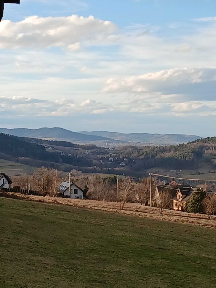 dom wolnostojący Trzemeśnia