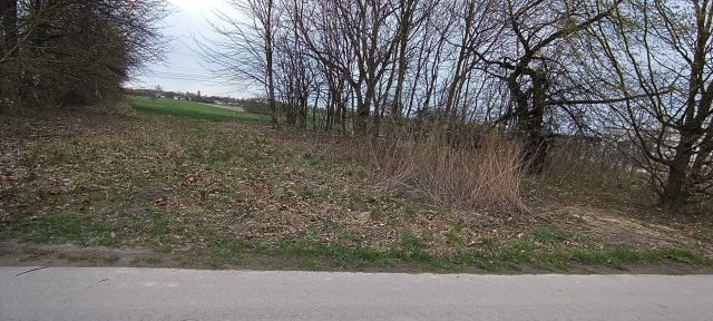 Działka budowlana Majdan Krasieniński. Zdjęcie 1