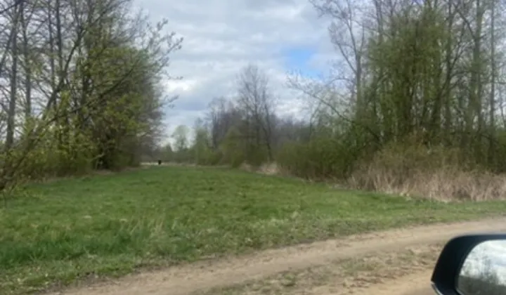 Działka rekreacyjna Morzyczyn-Włóki