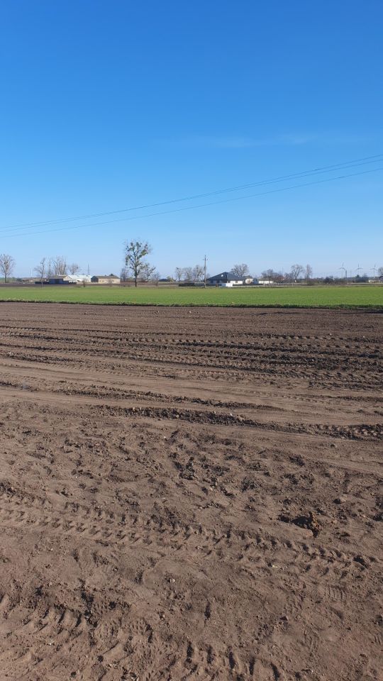 Działka budowlana Czołówek. Zdjęcie 3