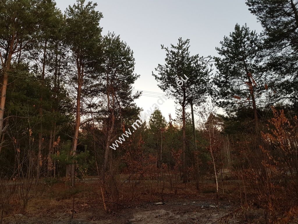 Działka budowlana Jesionka. Zdjęcie 3