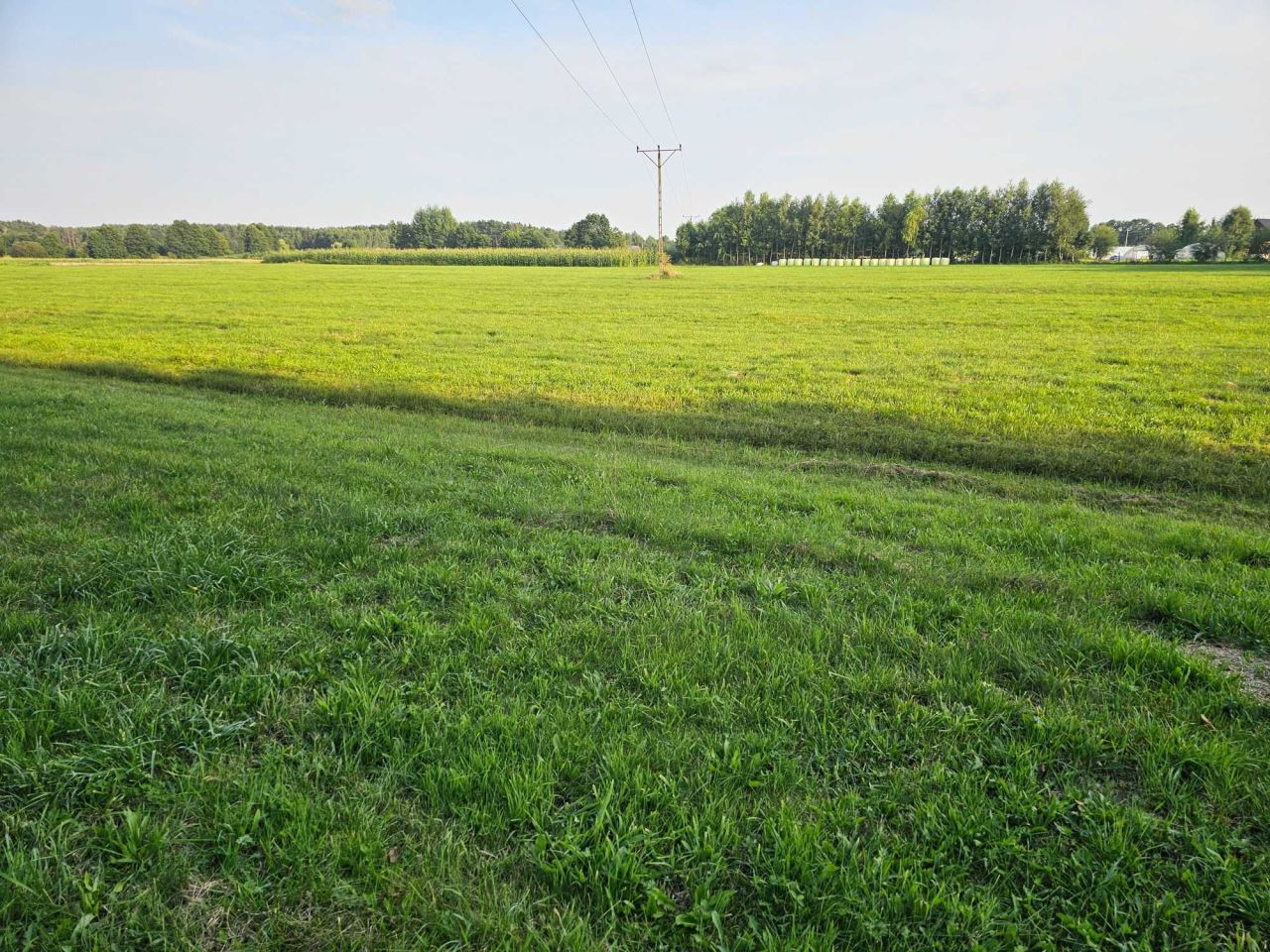 Działka budowlana Bukowiec. Zdjęcie 4