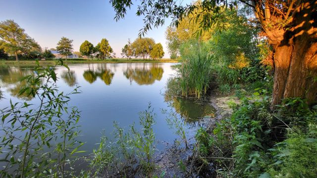 Działka rolno-budowlana Konary. Zdjęcie 11