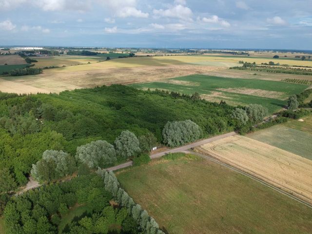 Działka budowlana Wełtyń, ul. Polna. Zdjęcie 1