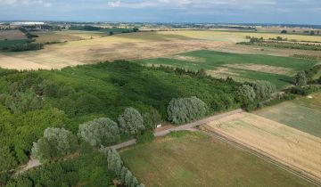 Działka budowlana Wełtyń, ul. Polna