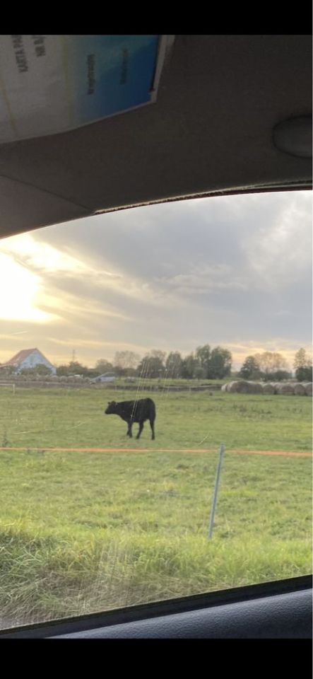 Działka rolno-budowlana Wieprzyce. Zdjęcie 3