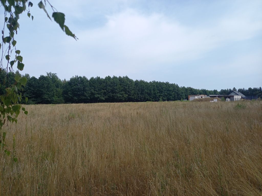 Działka budowlana Korzeniówka. Zdjęcie 11