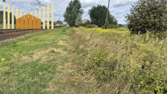 Działka budowlana Dębe Wielkie. Zdjęcie 3