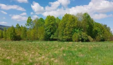 Działka siedliskowa Mlądz