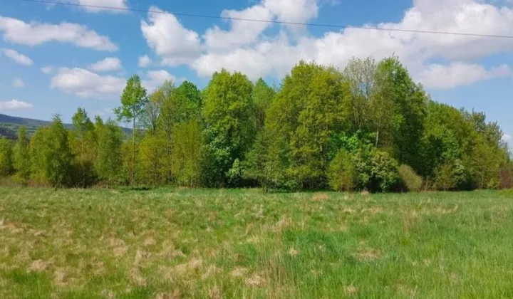 Działka siedliskowa Mlądz