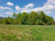 Działka siedliskowa Mlądz