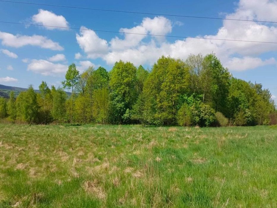 Działka siedliskowa Mlądz