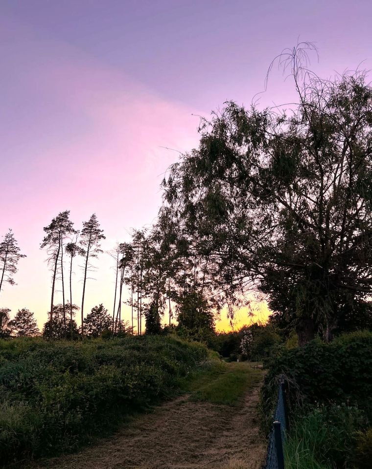 Działka rod Drzewianowo. Zdjęcie 17