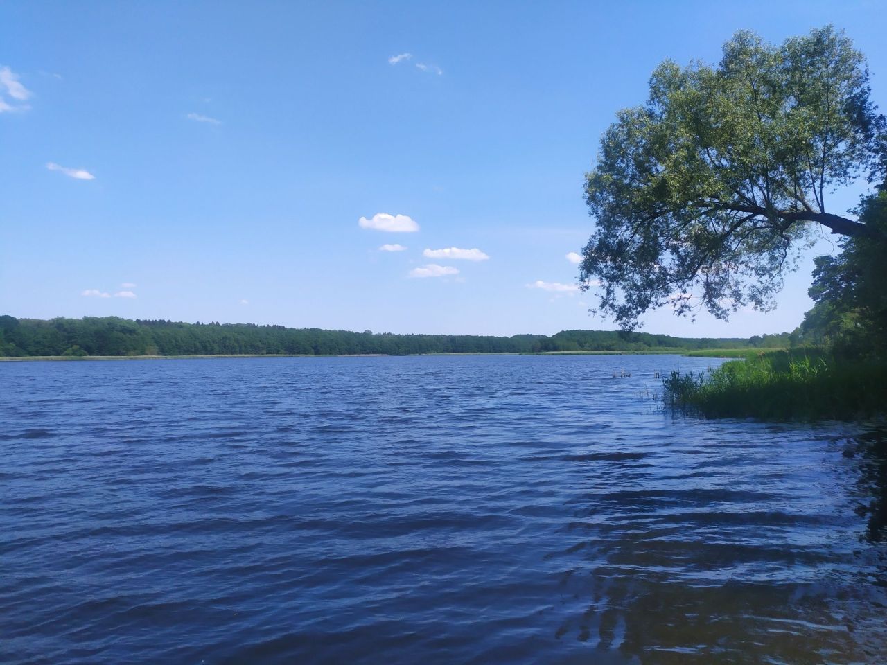 Działka rod Wierzchowo. Zdjęcie 7