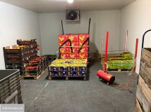 Hala/magazyn Włocławek Centrum, ul. Spółdzielcza. Zdjęcie 3