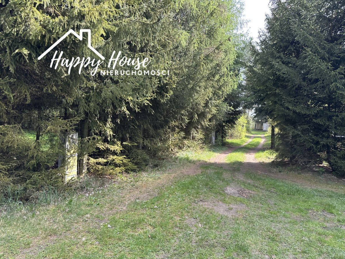 siedlisko, 6 pokoi Płocicz. Zdjęcie 35