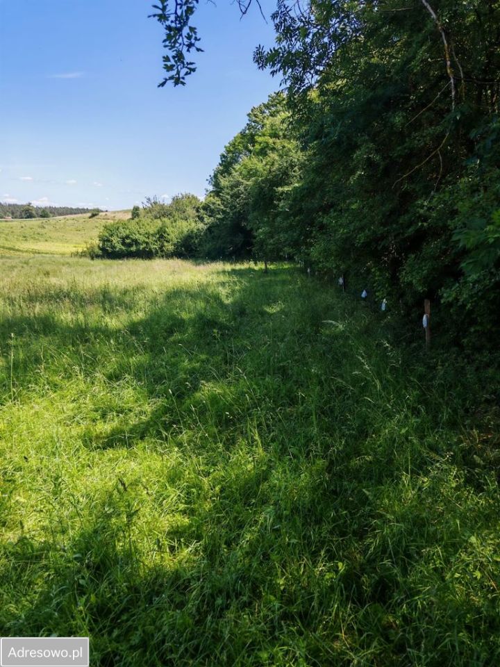 Działka rolna Dąbrówka. Zdjęcie 17