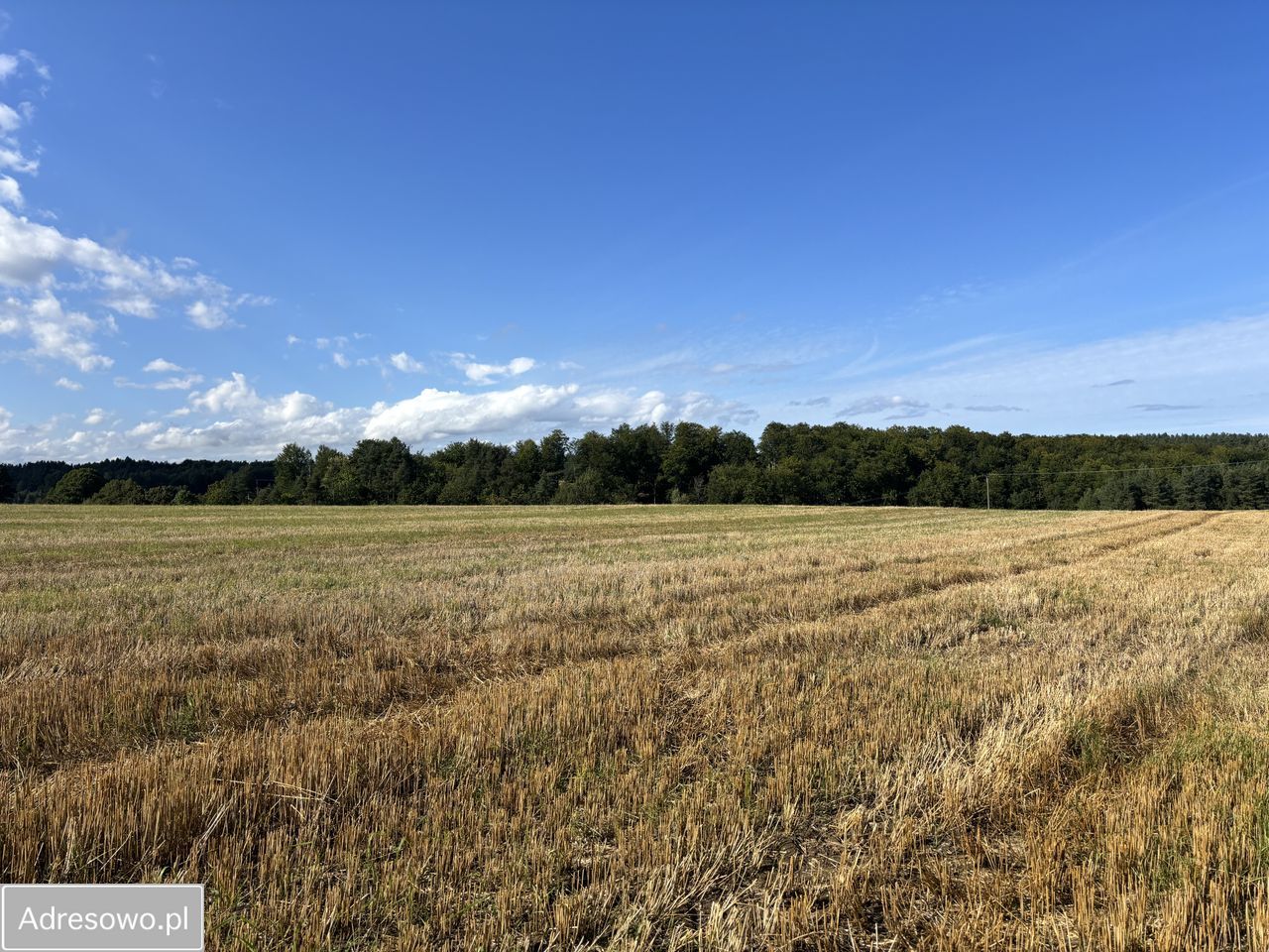 Działka budowlana Klonowo Dolne. Zdjęcie 9