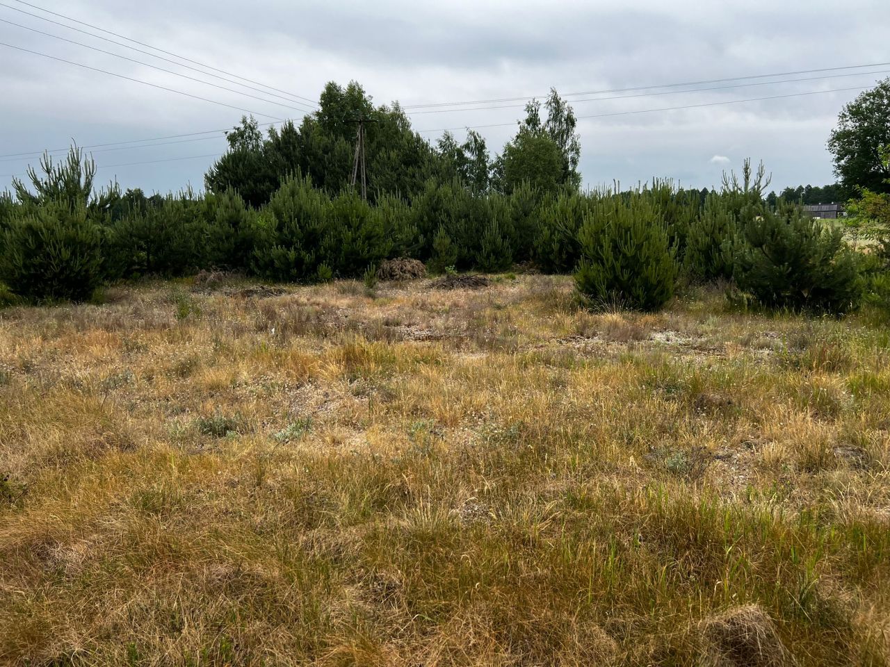 Działka budowlana Łąkie, Łąkie. Zdjęcie 6