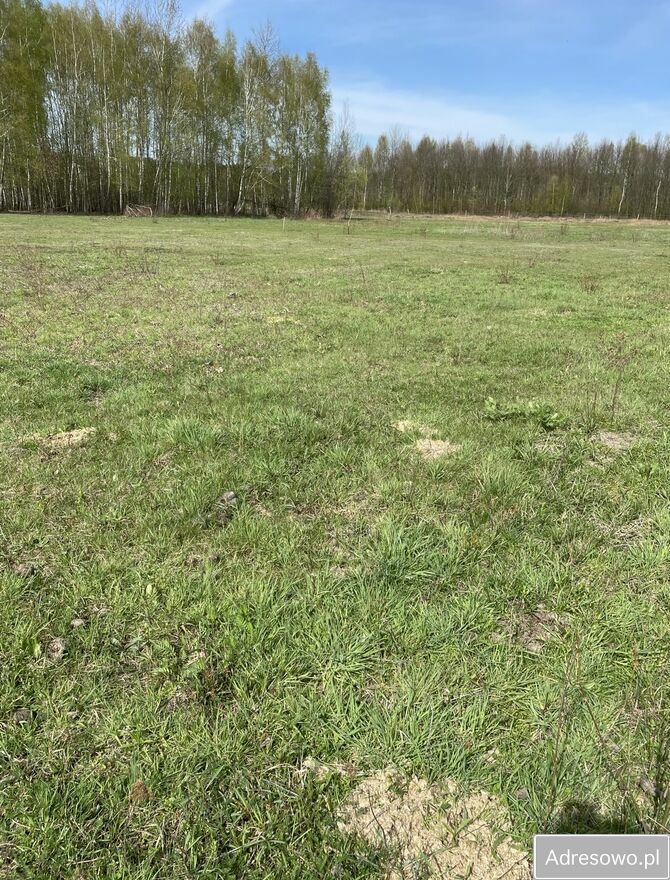 Działka budowlana Trąbki, ul. Aleja Owocowa. Zdjęcie 2