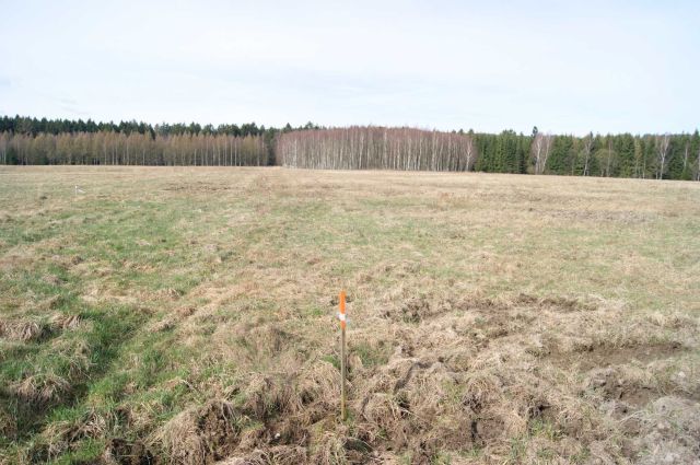 Działka rolno-budowlana Krzeszów. Zdjęcie 1