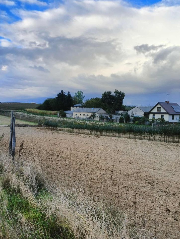 Działka rolno-budowlana Las Stocki. Zdjęcie 4