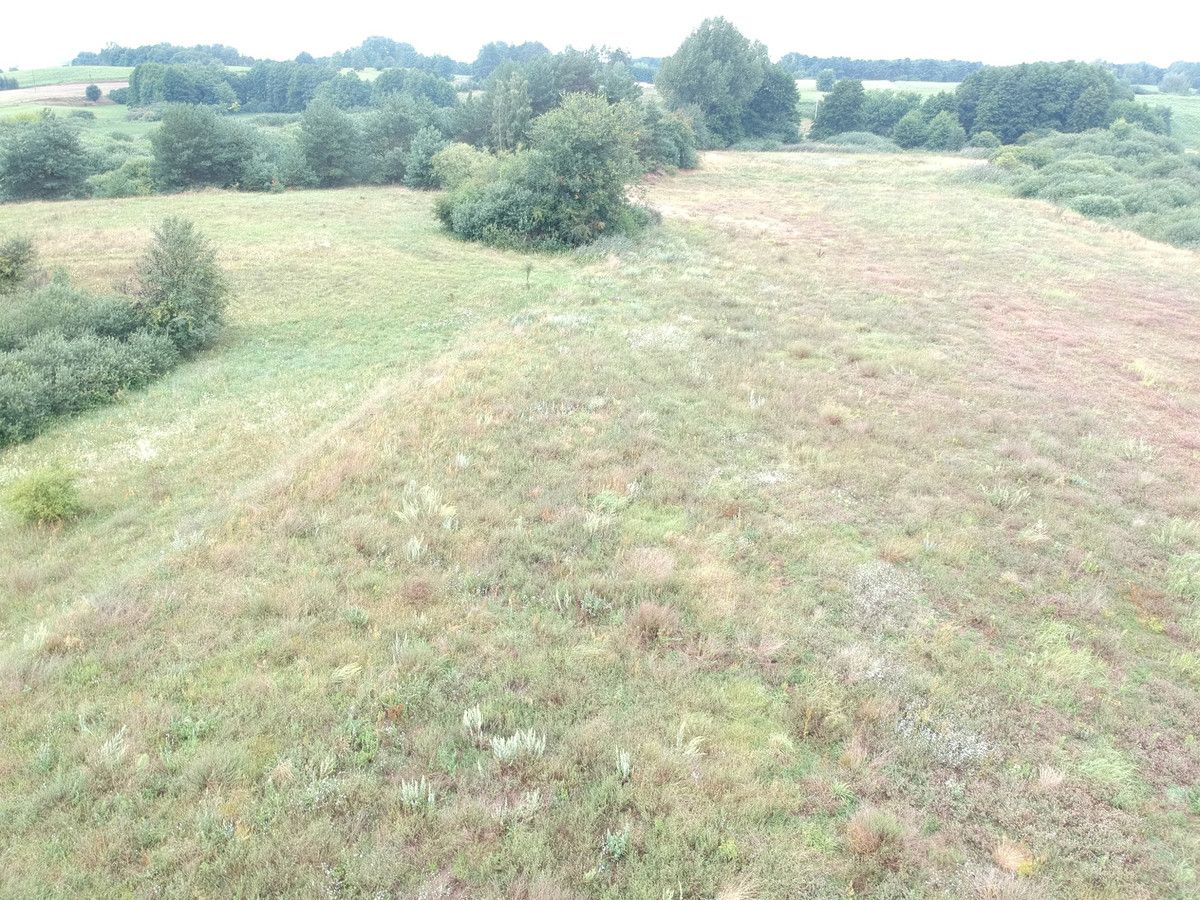 Działka inwestycyjna Niewolno. Zdjęcie 5