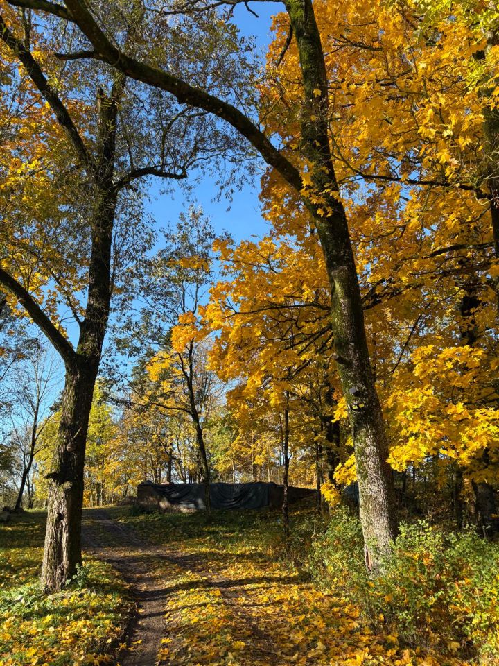 Działka siedliskowa Iwaniszki. Zdjęcie 5