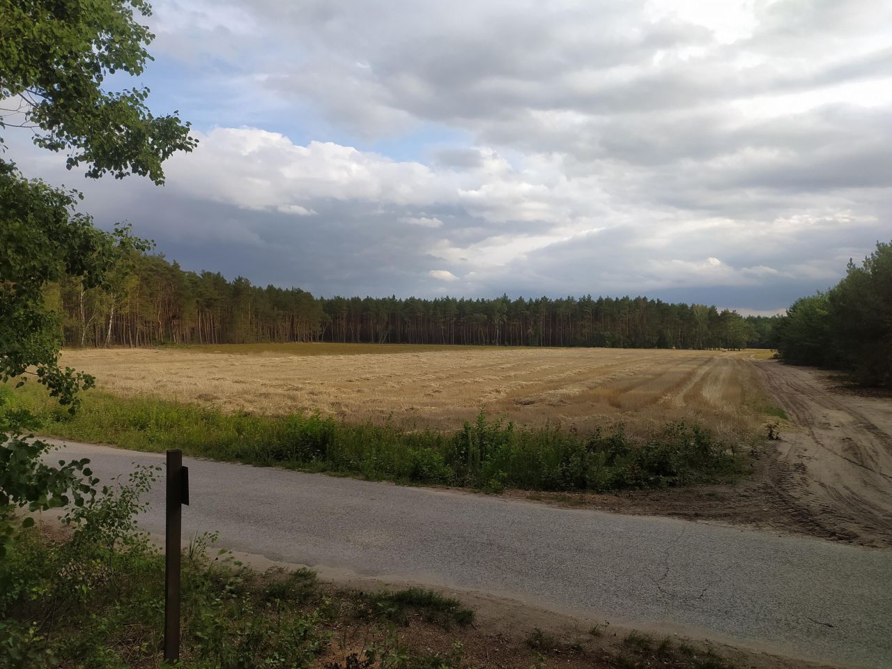 Działka budowlana Józefowo. Zdjęcie 1