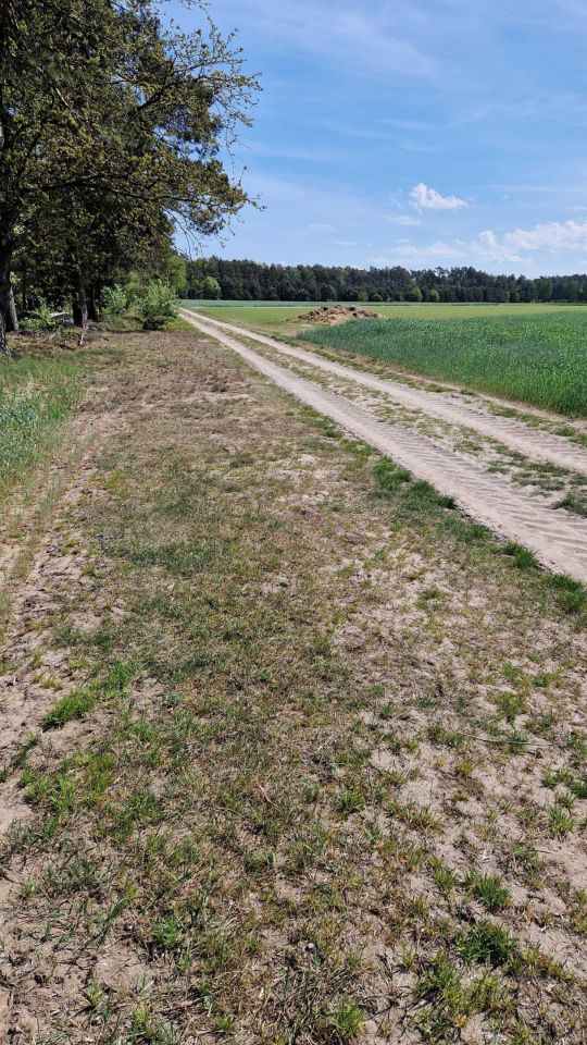 Działka budowlana Karszew. Zdjęcie 2