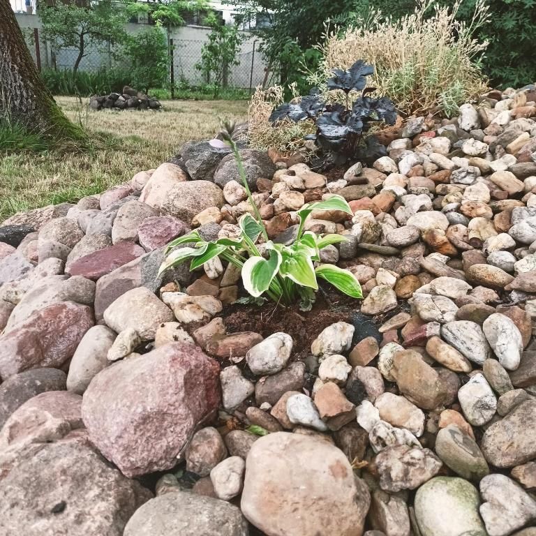 Mieszkanie 1-pokojowe Kluczbork Centrum, ul. Katowicka. Zdjęcie 14