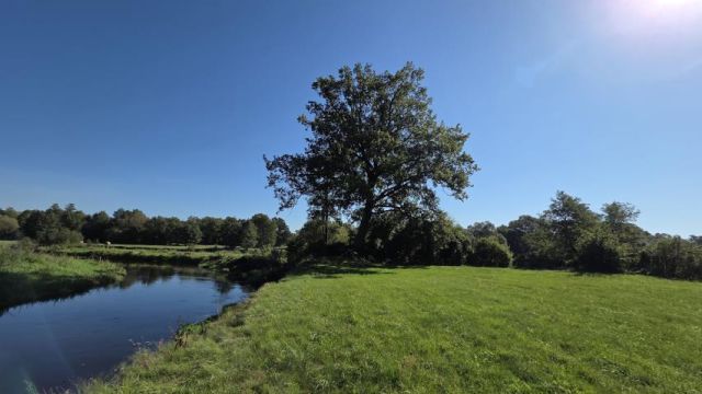 Działka rekreacyjna Dziektarzewo. Zdjęcie 4