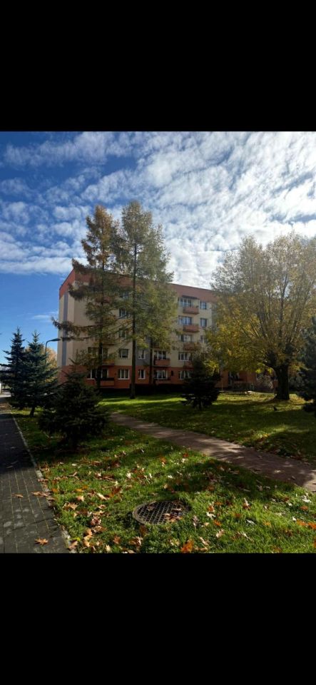 Mieszkanie 2-pokojowe Zwoleń, ul. Bogusza. Zdjęcie 3