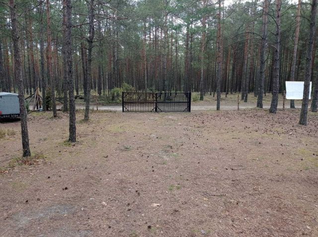 Działka leśna Borsk. Zdjęcie 1