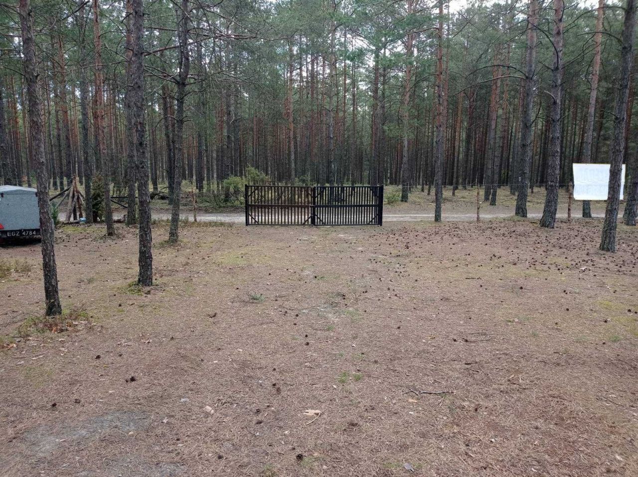 Działka leśna Borsk. Zdjęcie 1