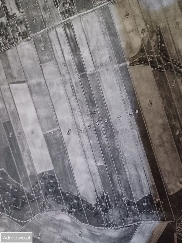 Działka rolna Rozkoszówka. Zdjęcie 2