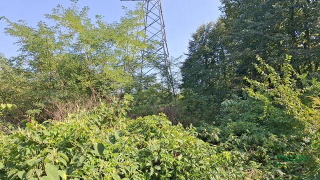 Działka inna Sosnowiec, ul. Wojska Polskiego. Zdjęcie 8