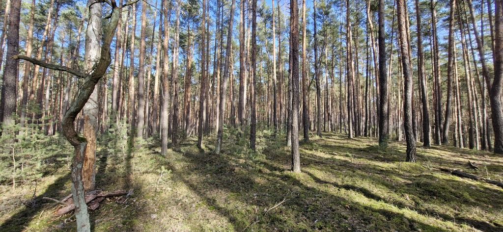 Działka siedliskowa Osiedle Wilga. Zdjęcie 3