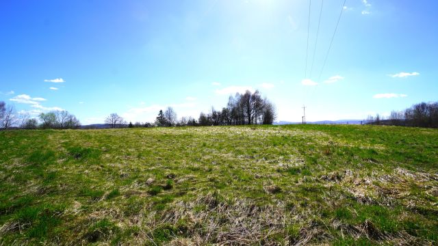 Działka rolno-budowlana Biecz. Zdjęcie 6